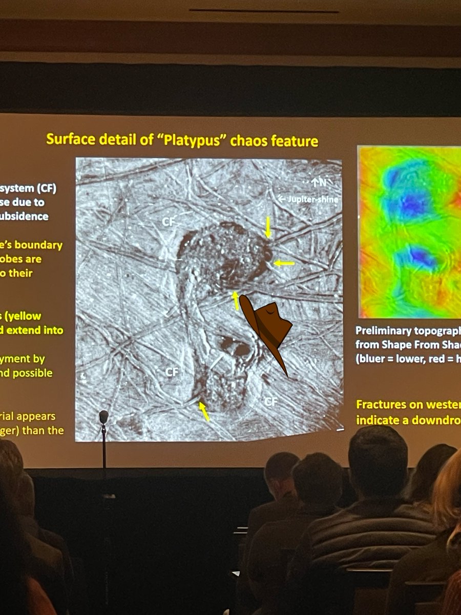 Micro_Chaos's tweet photo. A PLATYPUS!? PERRY THE PLATYPUS!!!!!! #LPSC2023 https://t.co/980aAYpDAE