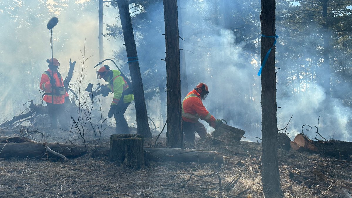 Shirley Vercruysse (@nfbvercruysse) on Twitter photo 📹 #BTS of INCANDESCENCE, an upcoming NFB BC & Yukon Studio feature doc ab/ communities and ecologies in B.C. that have been deeply affected by wildfires. Directed by Nova Ami and Velcrow Ripper, w/ Vince Arvidson as DOP.
📸via <a href="/Vcrow/">Velcrow Ripper</a> 📹 #BTS of INCANDESCENCE, an upcoming NFB BC & Yukon Studio feature doc ab/ communities and ecologies in B.C. that have been deeply affected by wildfires. Directed by Nova Ami and Velcrow Ripper, w/ Vince Arvidson as DOP.
📸via <a href="/Vcrow/">Velcrow Ripper</a>