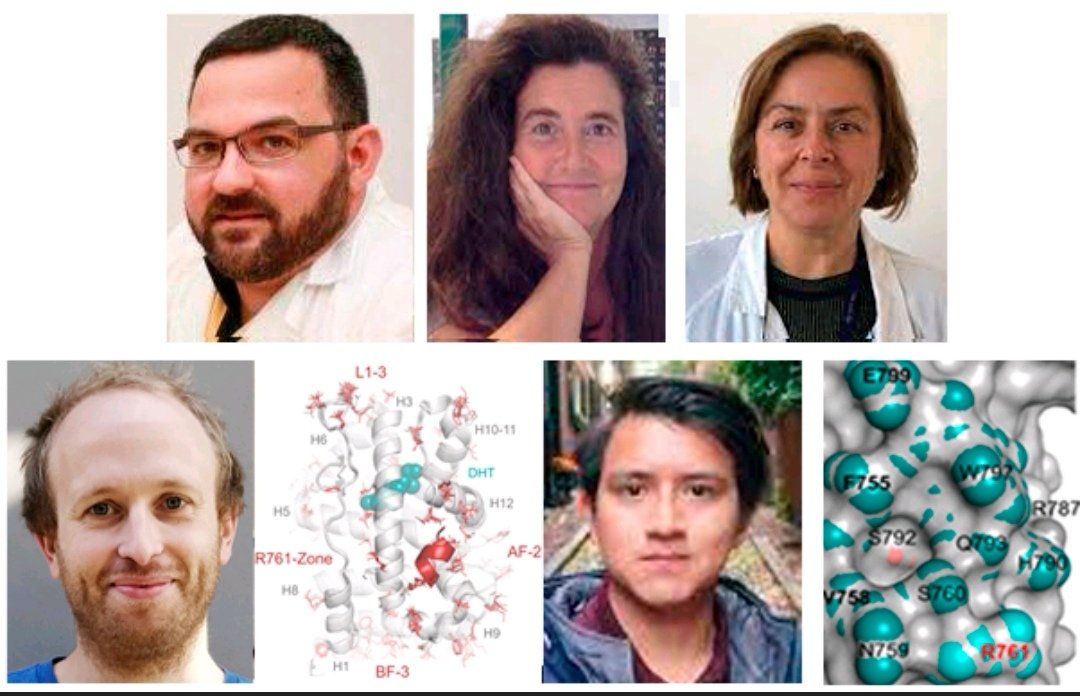 Eva46653369's tweet photo. Thanks also to our fantastic collaborators in Barcelona  
@PabloFuentesP @AAytesLab @AdriMTebar @PeraltaMNuria #JaimeRubio #JMPiulats @EckhardLab
Logroño #JuanFdezRecio, Sevilla @amrojasmendoza
Lyon #CoraliePoulard @MurielLeRomancer
@MarcosChinas
🚀✨ https://t.co/ICAbvkolJW