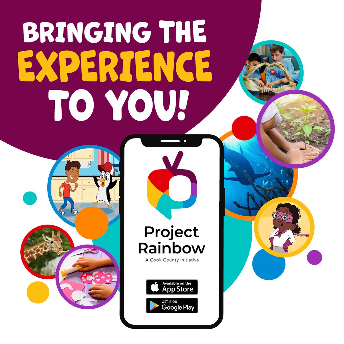 Project Rainbow Cook County tweet media