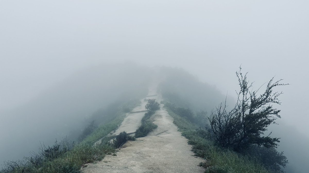 BrianDouglasKNX's tweet photo. Almost there! I’ve been told I have my head in the clouds at times. It’s true now. Literally. #myrun https://t.co/AlrktdyfUy
