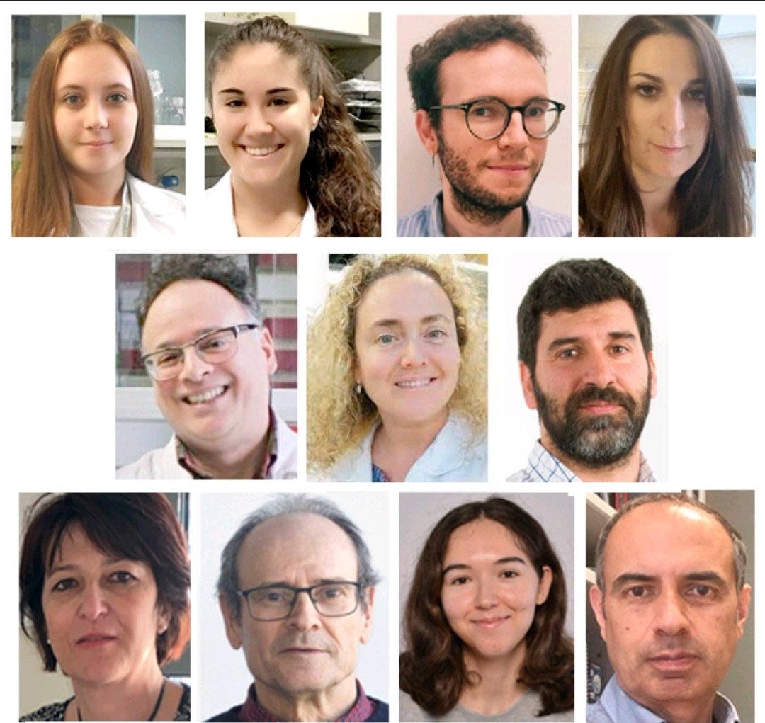 Eva46653369's tweet photo. Thanks also to our fantastic collaborators in Barcelona  
@PabloFuentesP @AAytesLab @AdriMTebar @PeraltaMNuria #JaimeRubio #JMPiulats @EckhardLab
Logroño #JuanFdezRecio, Sevilla @amrojasmendoza
Lyon #CoraliePoulard @MurielLeRomancer
@MarcosChinas
🚀✨ https://t.co/ICAbvkolJW