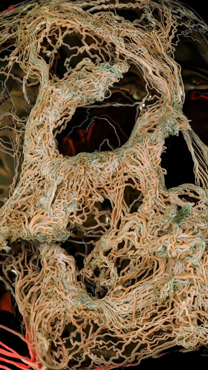 NoireViz's tweet photo. C.0.R.D.1.C.3.P.5

#tlou #cgi #vfx #tyflow #3dart #3dartist #skull #fungi #fungus #cordiceps #skul #death #zombiee #digitalart #render #scifiart #scifi  #cyberpunk #cyberpunkart https://t.co/6zdcbOVuts