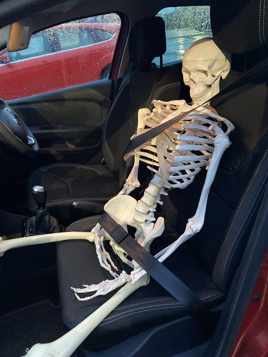 lizzymacphie tweet media