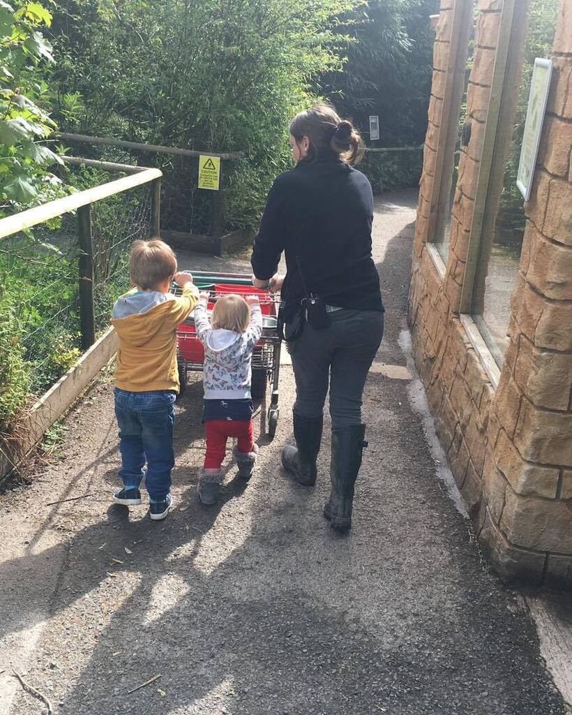 exmoorzoo's tweet photo. 🌸Mum’s go free this Mother’s Day 19/03/23 with a full paying child🌸
T&C’s: Special Mother’s Day offer cannot be used in conjunction with any other offer, Tesco vouchers or discount offers, valid on the 19/03/23 only at reception.
#mothersday #speci… https://t.co/jdZSpRaZIQ https://t.co/fptMZT63Ts
