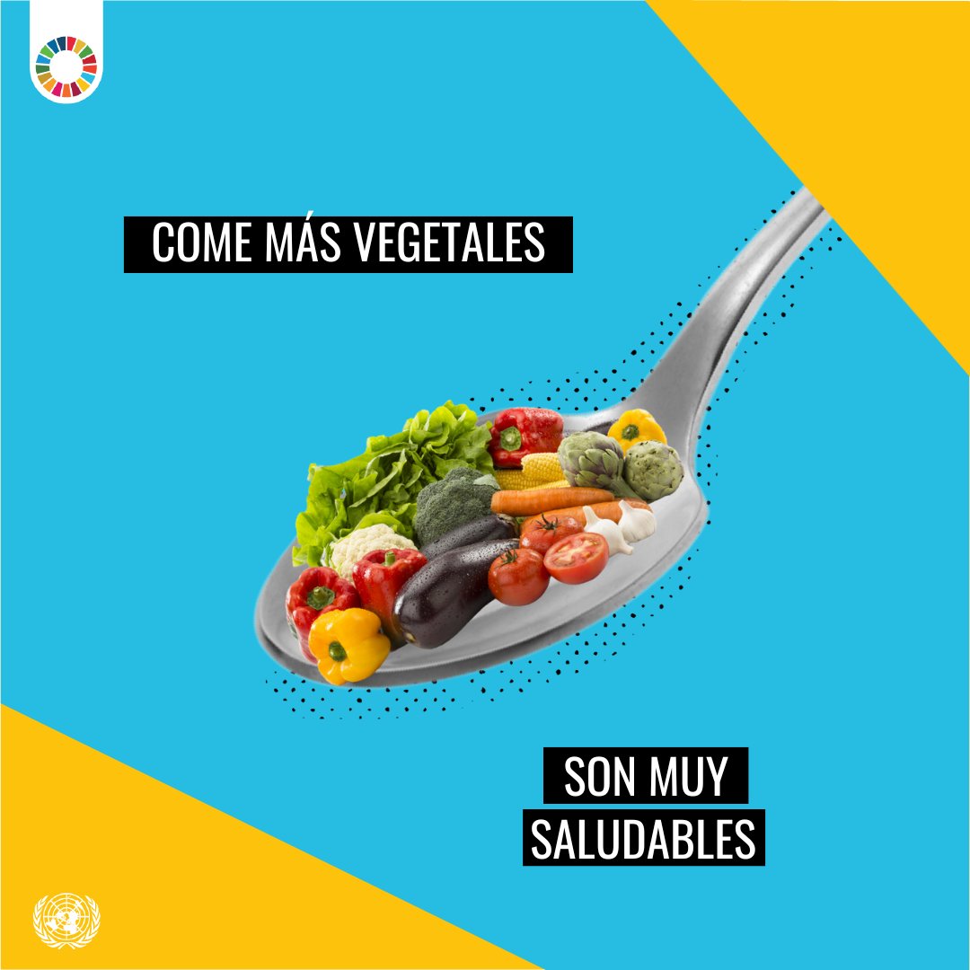 Naciones Unidas tweet media