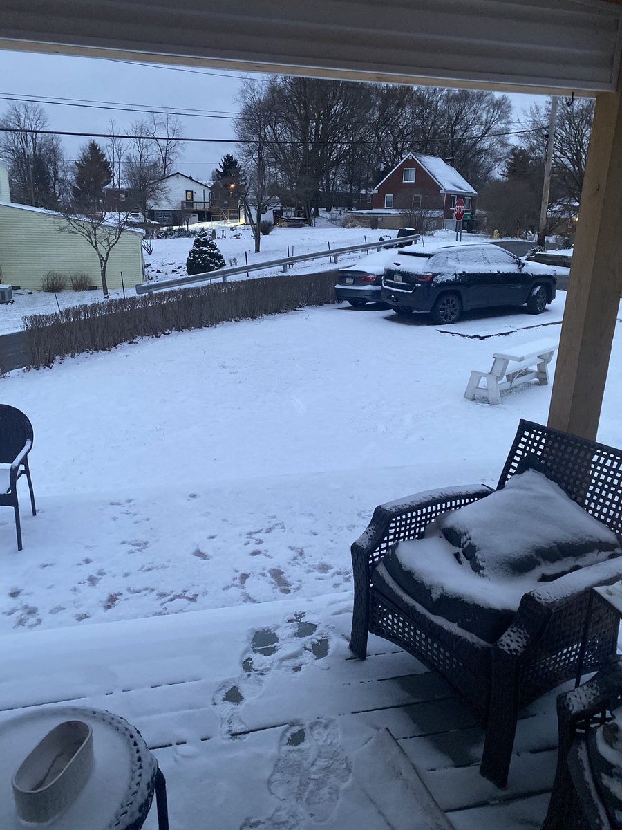 Patrick Sandle tweet media