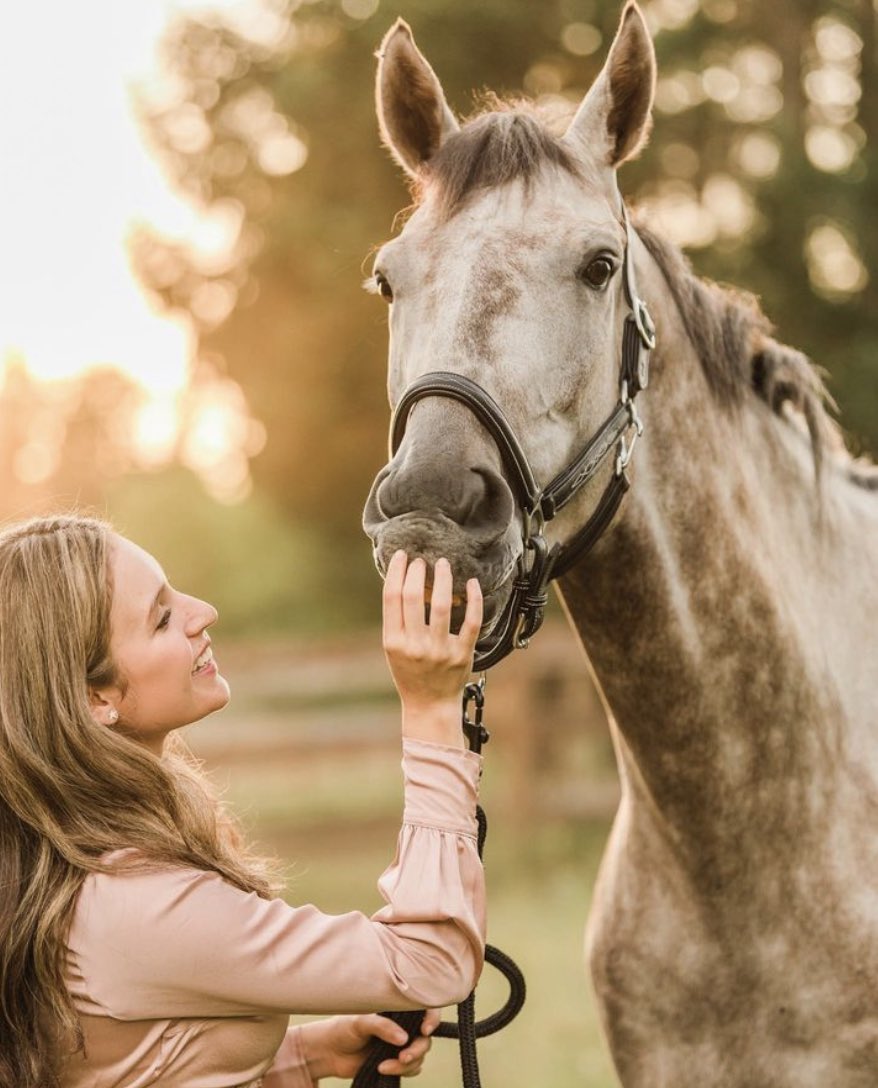 MaciasAdryan's tweet photo. “When horses race they are often doped to mask injuries and pain. This process can cause them to unknowingly exceed their healthy bounds and sustain even more fatal injuries which can lead to euthanization” #39canimals https://t.co/RI77598fWD