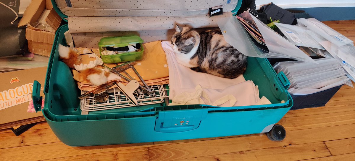 samuelbreuillet's tweet photo. 3h plus tard, gros mouvement du chat. Une rotation de 90° #madeWithCSS https://t.co/JMzBtdv9Oe