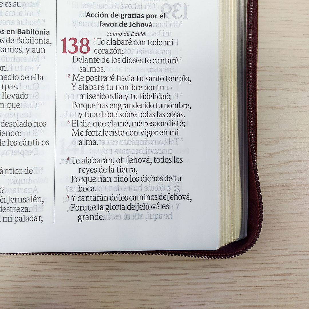 ¿Buscas una Biblia elegante y de calidad? Adquiere la Biblia Reina Valera 1960 en Tamaño y Letra Grande con cremallera en Vinotinto. 

Visita: libreriaypapeleriafuturo.com.co/products/bibli…