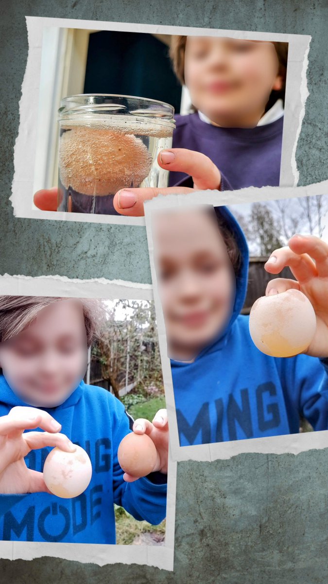 DrCrisCastro's tweet photo. Our Ben doing the bouncy egg experience for the #BritishScienceWeek2023
#BritishScienceWeek 
@PaganelScience
@Mr_Hart9 https://t.co/XK5hQwVZbx