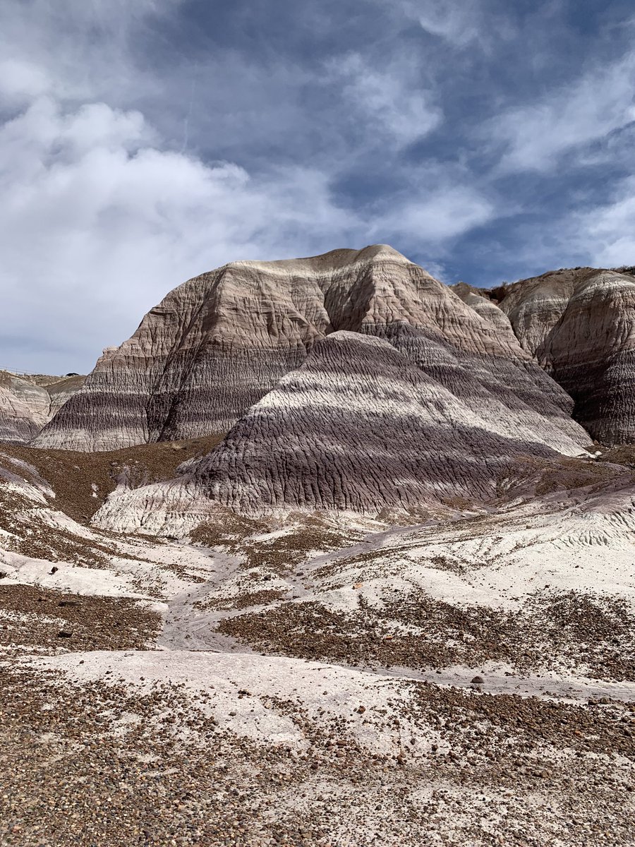 ngl arizona is kinda cool😍