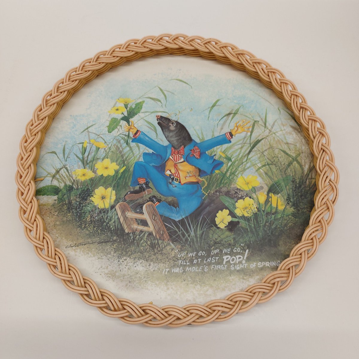 HummingLeftBird's tweet photo. Who doesn't like a happy Mr Mole. A super looking whicker and melamine round tray. #vintageshowandsell https://t.co/bZQxK6SJyz