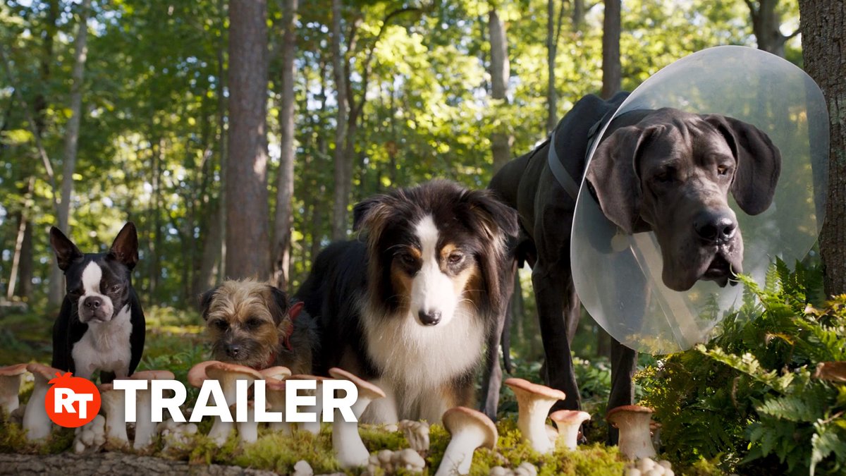 Rotten Tomatoes on Twitter "Watch Will Ferrell and Jamie Foxx voice