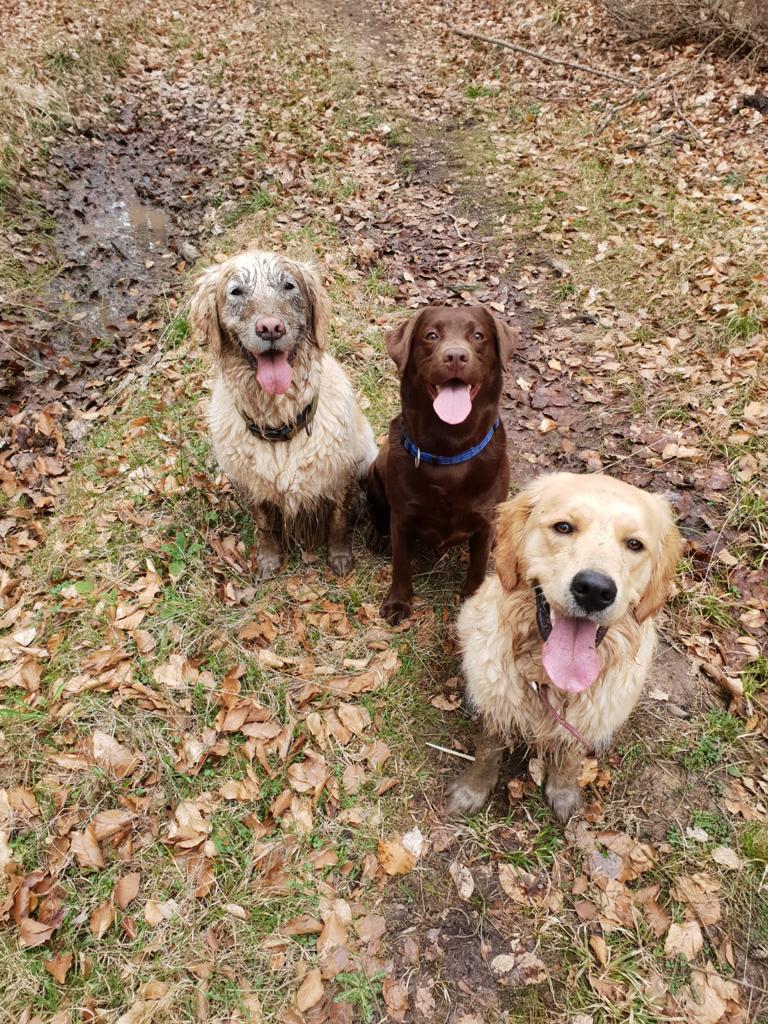 Having them outweighs losing them! Sleep well Rosie.