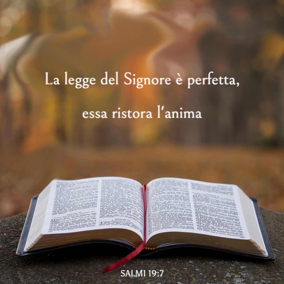 _MarcoGelo's tweet photo. “«La #legge del Signore è #perfetta, essa #ristora l'#anima; la #testimonianza del Signore è #veritiera, rende #saggio il #semplice.»”
(#Salmo 19:7) https://t.co/PabTsmDxGJ