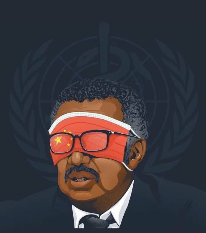 DeeniceA's tweet photo. @DrTedros @UN_PGA @WHO When is the next pay day? #tedrosout https://t.co/i6beiv5UaO