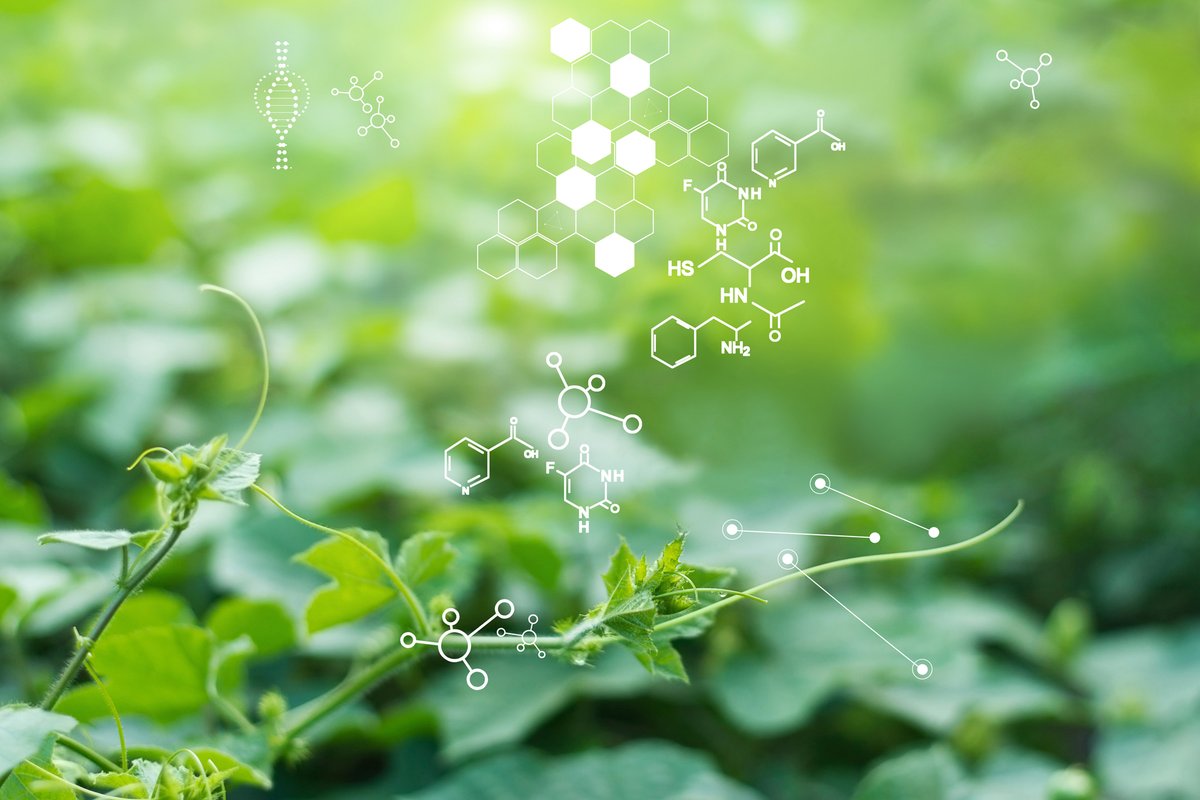 Aplantex tweet media