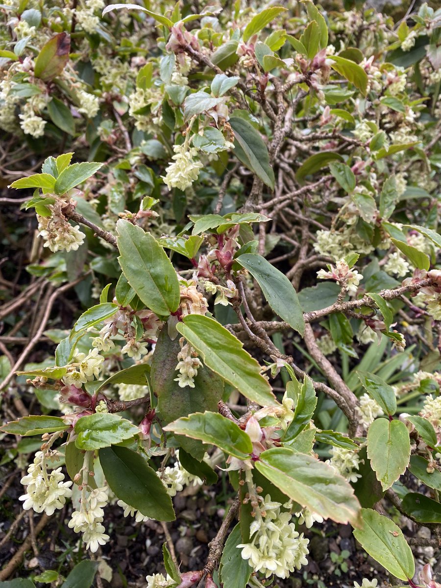 Michael Myers tweet media