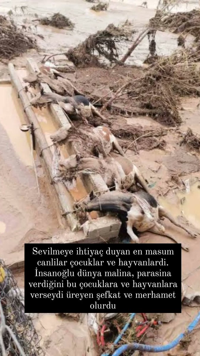 #sanliurfa #selfelaketi