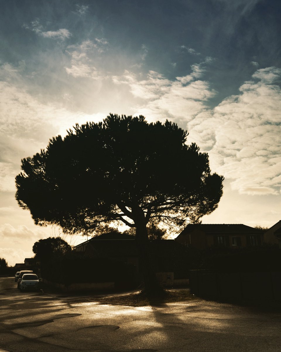 LanYuMei2022's tweet photo. Amazing Day #Lanyumeiphotos #photographer #photography #photo #photoshoot #photographerslife
#photooftheday #life #instaphoto
#pessac #steet #travelling #outdoors #steetstyle #streetphotography #city #art #streetart #artoflife #day #beautifulday #tree #sun #pessacmaville https://t.co/CpBkOtXSDX