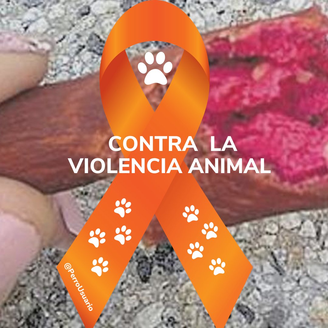 Antes de poner veneno para matar a un animal hambriento de la calle, piensa que ellos son el resultado de nuestra inconsciencia e indolencia con su realidad. No estás obligado a que te gusten los animales, pero no tienes derecho a quitarles la vida