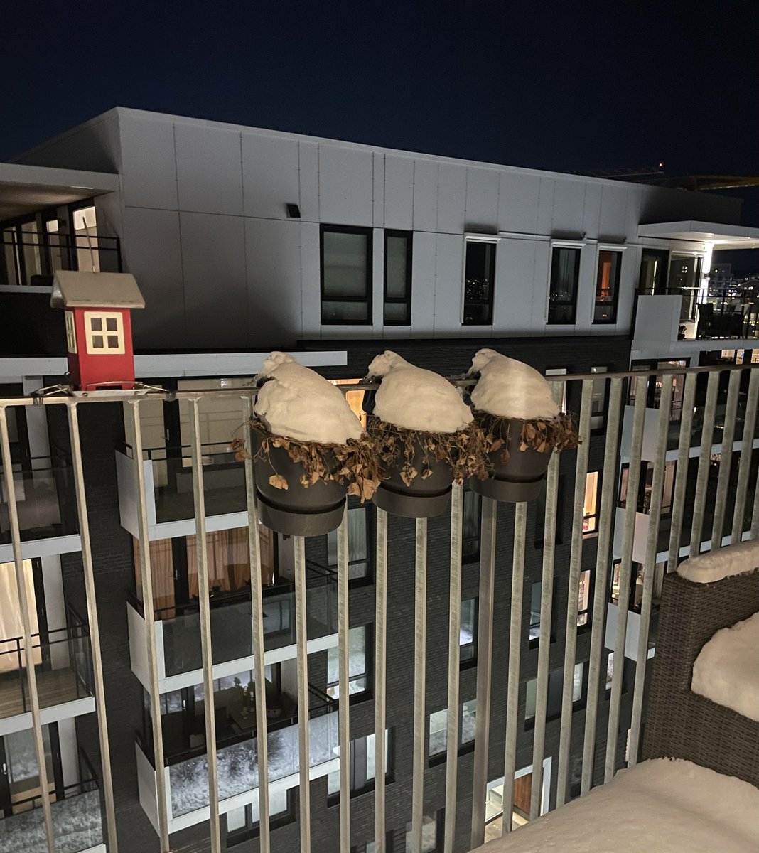 Spent på om de tre jordbærplantene mine kommer til å overlever vinteren 🫢🍓