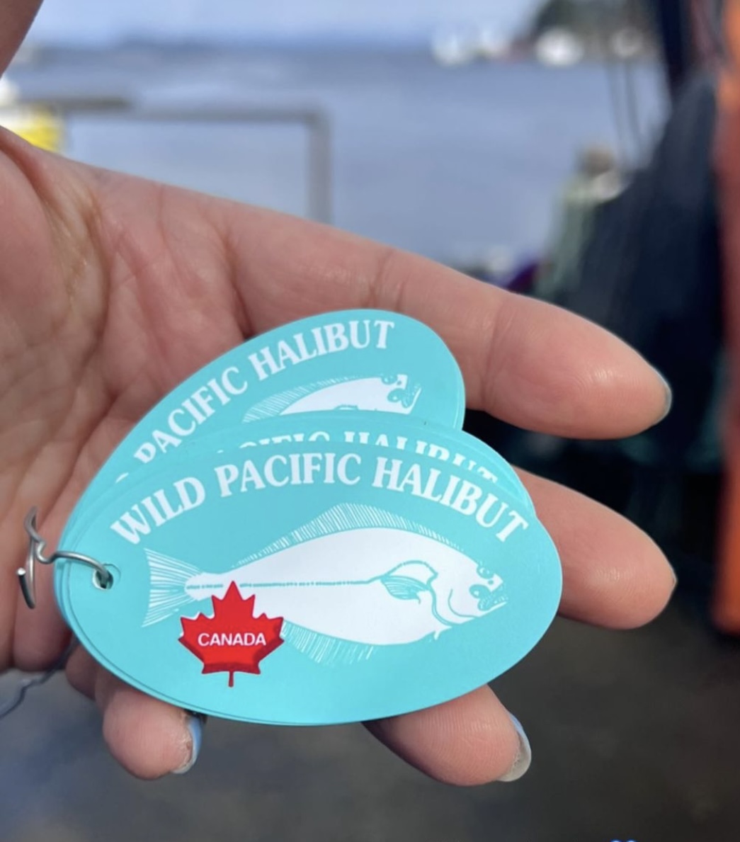 Wild Pacific Halibut (@wildbchalibut) on Twitter photo And the big reveal...... the colour of this year's tag for #WildPacificHalibut! Every wild Pacific halibut is tagged with a unique serial number to help with enforcement and traceability. Thanks for sharing <a href="/eatfishYVR/">FreshIdeasStartHere</a> ! #BuyBC And the big reveal...... the colour of this year's tag for #WildPacificHalibut! Every wild Pacific halibut is tagged with a unique serial number to help with enforcement and traceability. Thanks for sharing <a href="/eatfishYVR/">FreshIdeasStartHere</a> ! #BuyBC