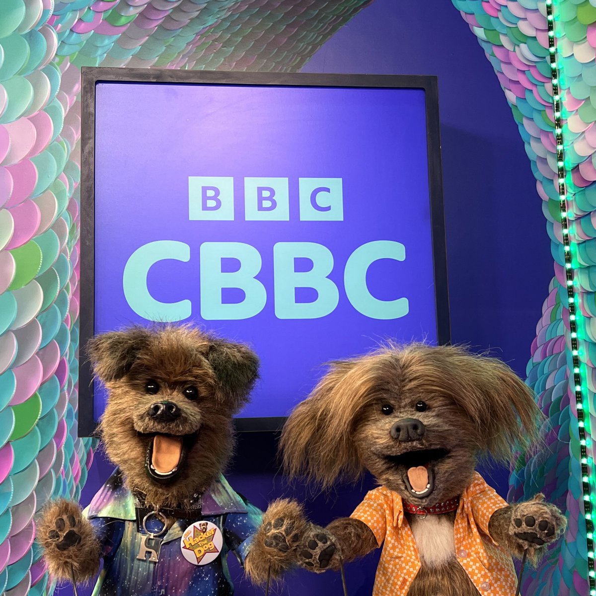 WarrickBP's tweet photo. NEW CBBC Branding! Ooooh pretty! We had fun revealing and having a look at the new set today! 

#CBBC #CBBCHQ #DodgeTheDog #HackerTDog #HackerTheDog #CBBCOFFICE #CBeebiesHouse #CBeebies #dog #dogs #puppet #puppets #puppetry #puppeteer #muppeteer #behindthescenes #onset #setlife https://t.co/CC4gJEdu4j