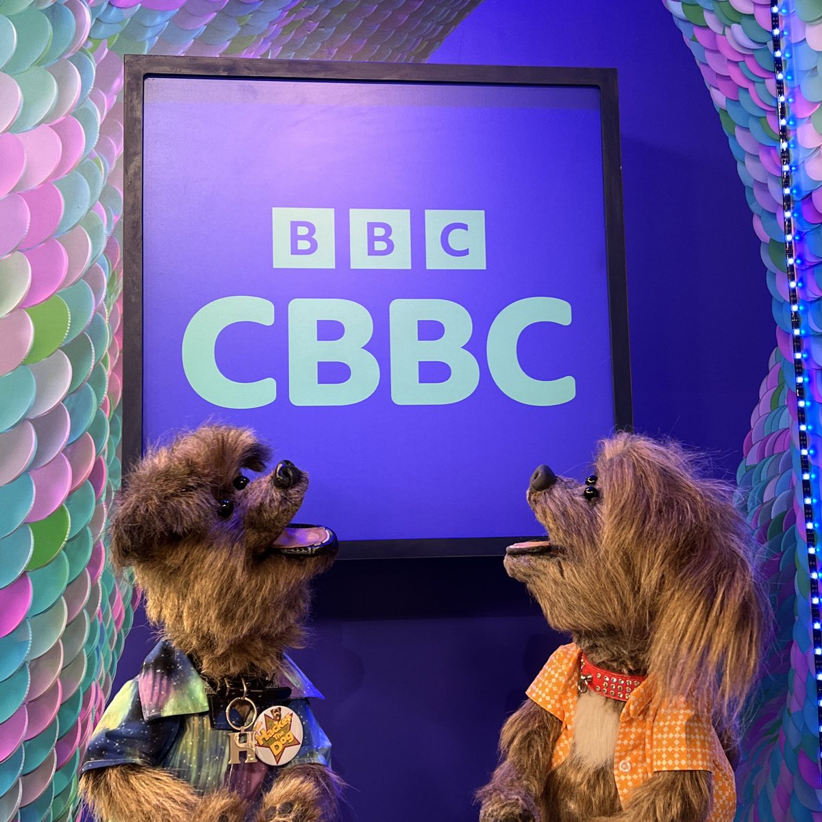 WarrickBP's tweet photo. NEW CBBC Branding! Ooooh pretty! We had fun revealing and having a look at the new set today! 

#CBBC #CBBCHQ #DodgeTheDog #HackerTDog #HackerTheDog #CBBCOFFICE #CBeebiesHouse #CBeebies #dog #dogs #puppet #puppets #puppetry #puppeteer #muppeteer #behindthescenes #onset #setlife https://t.co/CC4gJEdu4j