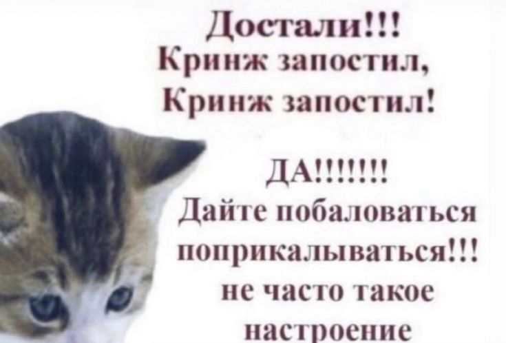 его ежиное величество tweet media