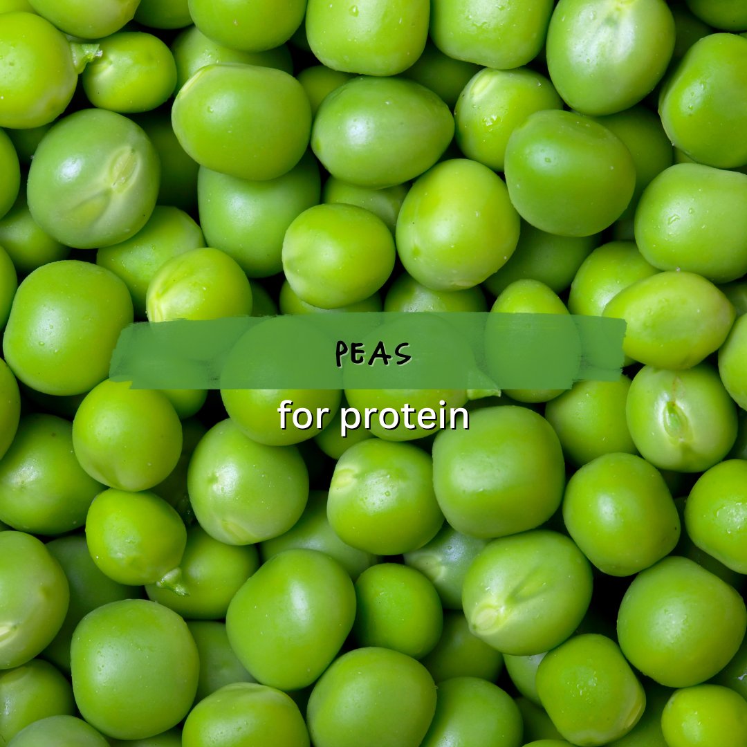 blacksheepeat's tweet image. In order to stand out from the herd, we look to ingredients that stand their own. Built by plants– brick by tasty (molecular) brick!

#BlackSheepFoods #FlavorFreedom