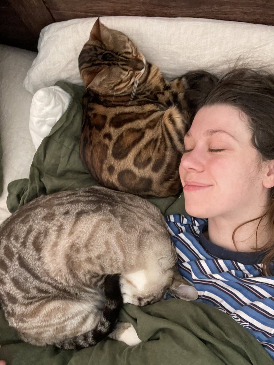 ElenaBateman's tweet photo. i got a pretty bad viral infection &amp; my cats have been so protective 🥲 https://t.co/qoqF6vJWnA
