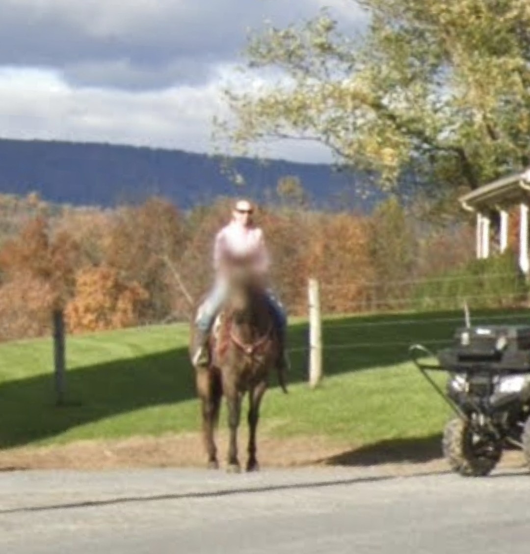 waygono's tweet photo. Tell me why Google blurred the horse's face but not the lady's 😭 https://t.co/dnx9O06hjq