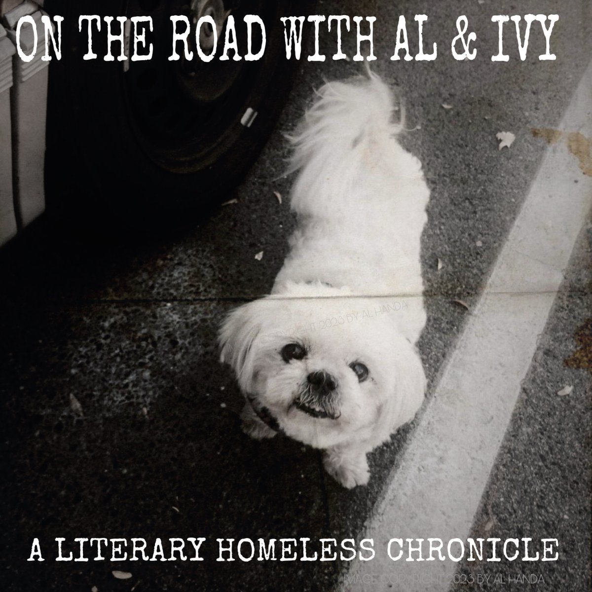 alhanda's tweet photo. On The Road With Al and Ivy: A Homeless Literary Chronicle - March 2023:
Van Life videos, why classics can be boring, Jack London, Iliad, Ben Hur, Spartacus, Last Of The Mohicans, Movie Versions Of Books, book updates, Episode 2 of the On The Road novel https://t.co/q7xXi9bzEM https://t.co/JNFi30k5s1