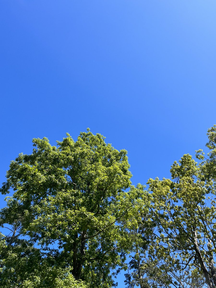 Looking like spring. Although feeling like winter this weekend