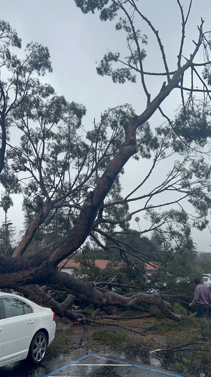 kathyaims's tweet photo. welp that just happened at the middle school #ktla @KTLAnewsdesk good thing nobody got hurt! https://t.co/vKVnHEhGuk