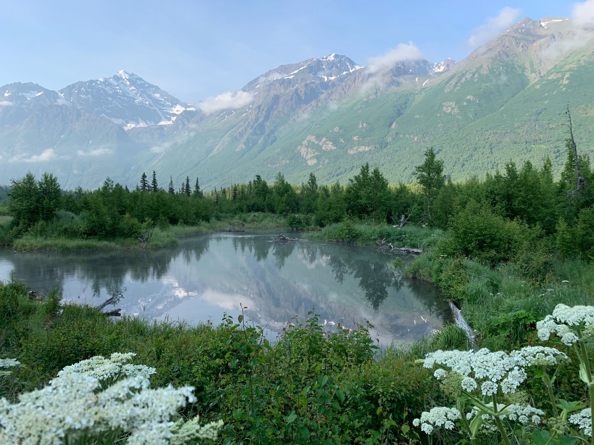 Our leisure team is booking a LOT of Alaska for this summer. Is the Last Frontier on your travel wish list? Drop us a line!

#ionlytravelwithCIRE #LuxuryTravel #Alaska #AlaskanCruise #FamilyVacation #SummerVacation #TheLastFrontier #TravelAgent