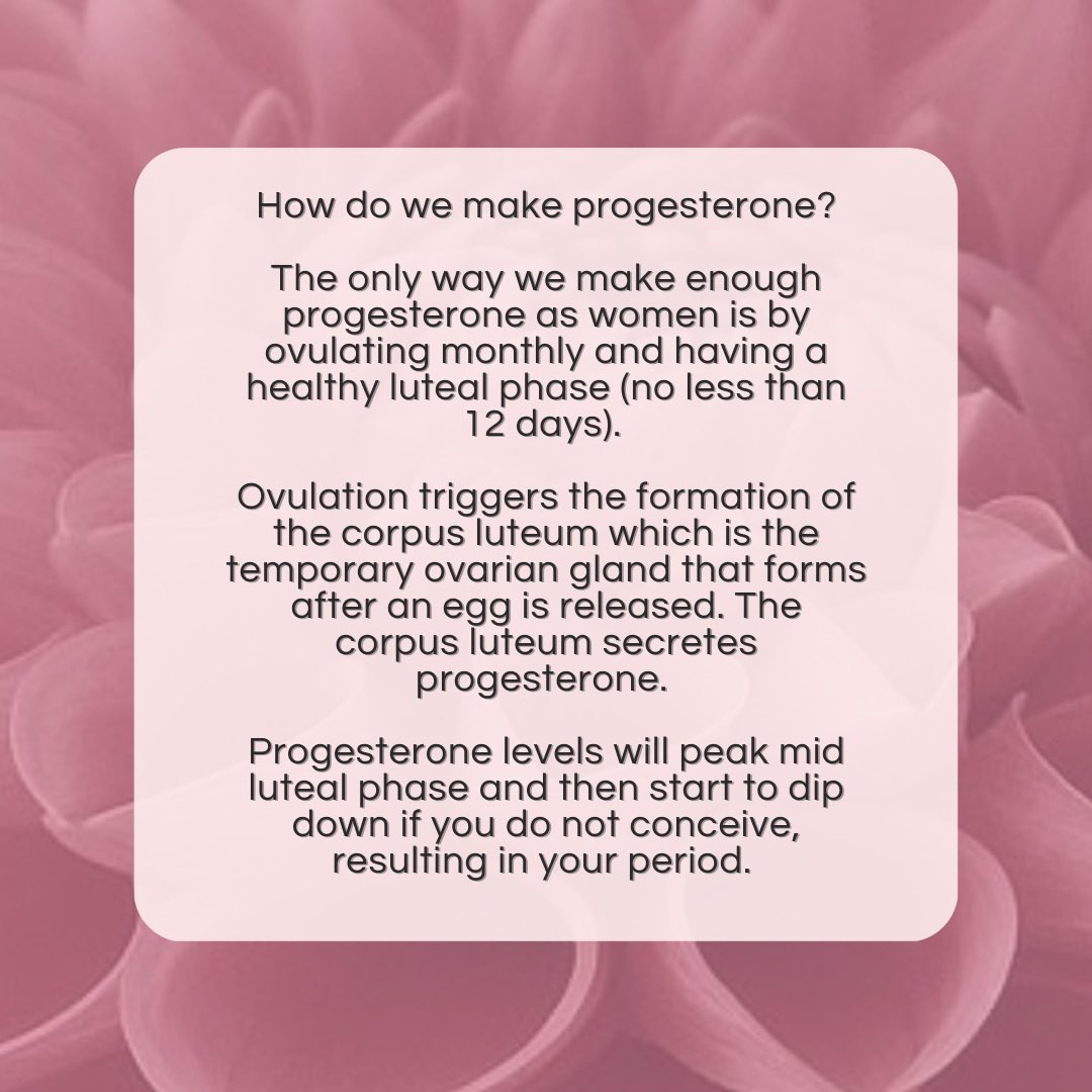 Hormones 101 PROGESTERONE🌺 Swipe through for a mini lesson + tips on