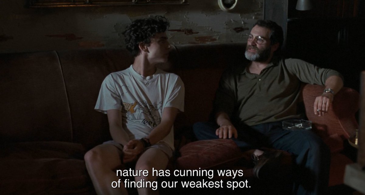 call me by your name (@cmbynupdates) on Twitter photo 