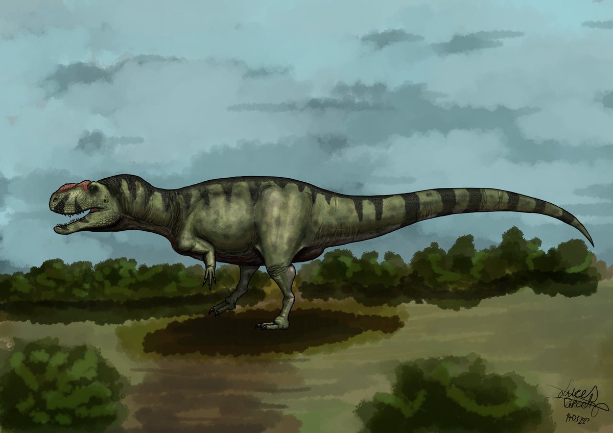 Lucas so called paleoart (he/him) tweet media