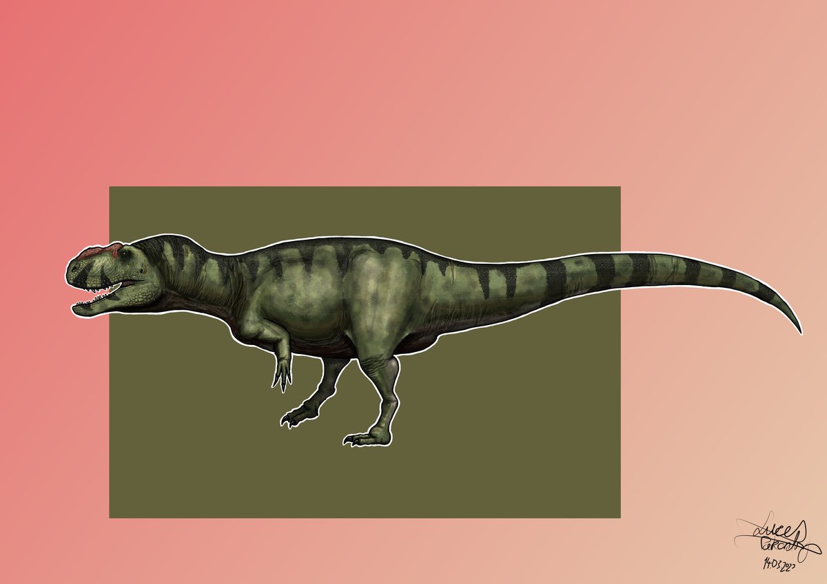 Lucas so called paleoart (he/him) tweet media