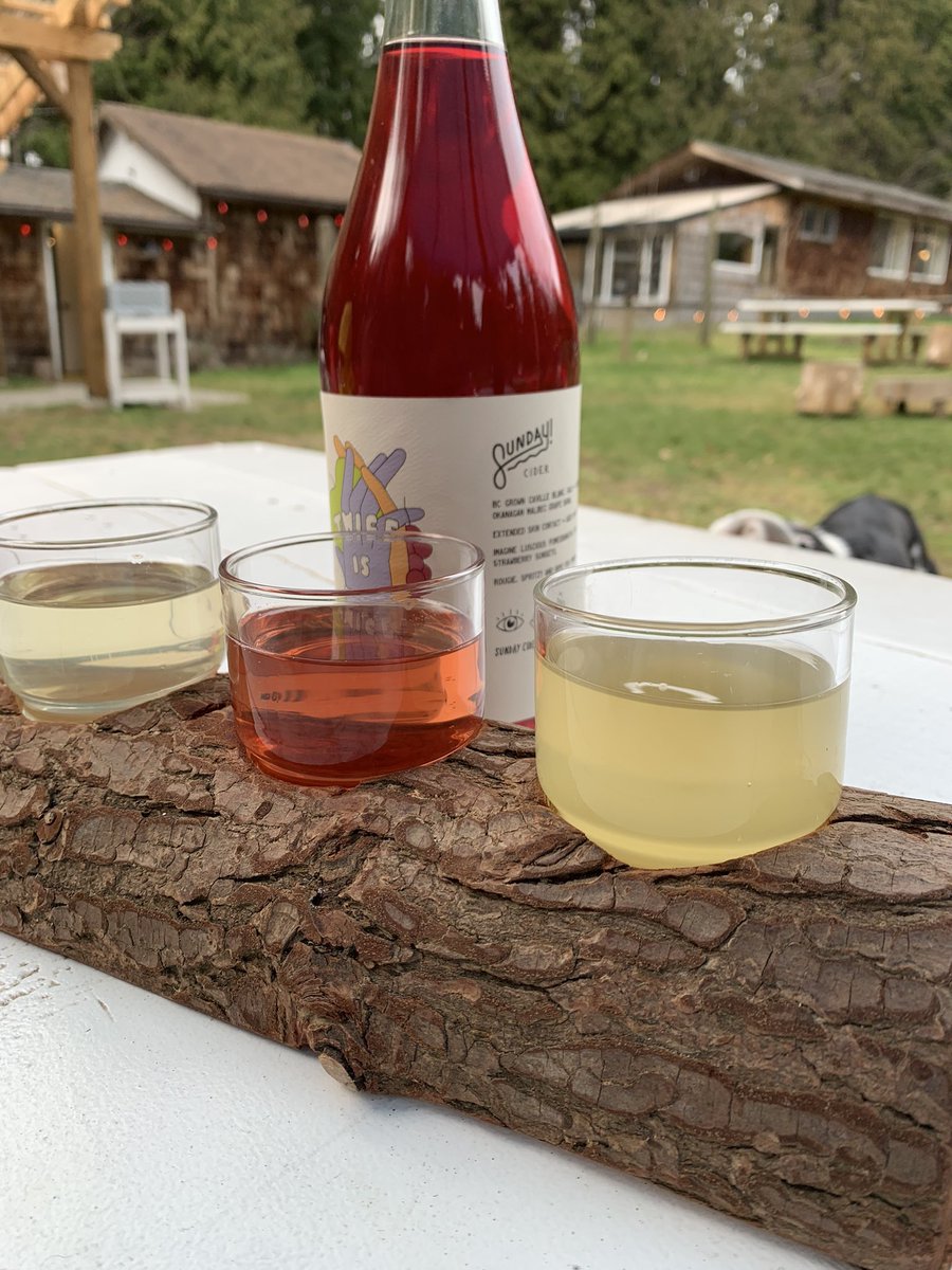 Pintographer's tweet image. Pretty successful Tour de Pint on the Sunshine Coast