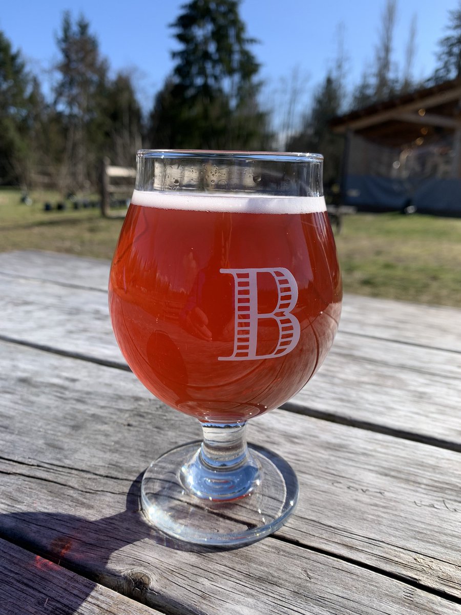 Pintographer's tweet image. Pretty successful Tour de Pint on the Sunshine Coast