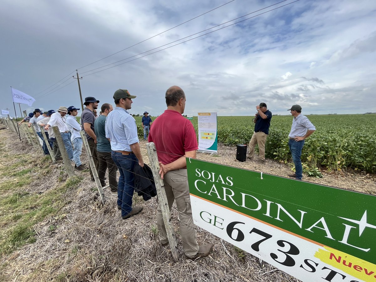 Cardinalseeds's tweet photo. Muchas gracias a los que nos acompañaron en la jornada de hoy. Una excelente oportunidad para ver la respuesta de nuestros materiales  en una situación productiva complicada.  Agradecidos por los aportes y el intercambio generado con técnicos, productores y distribuidores https://t.co/jli1t0TLEW