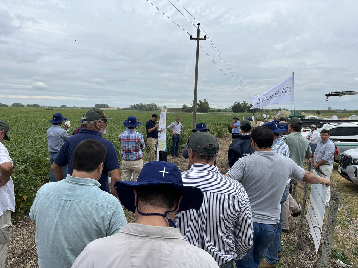 Cardinalseeds's tweet photo. Muchas gracias a los que nos acompañaron en la jornada de hoy. Una excelente oportunidad para ver la respuesta de nuestros materiales  en una situación productiva complicada.  Agradecidos por los aportes y el intercambio generado con técnicos, productores y distribuidores https://t.co/jli1t0TLEW