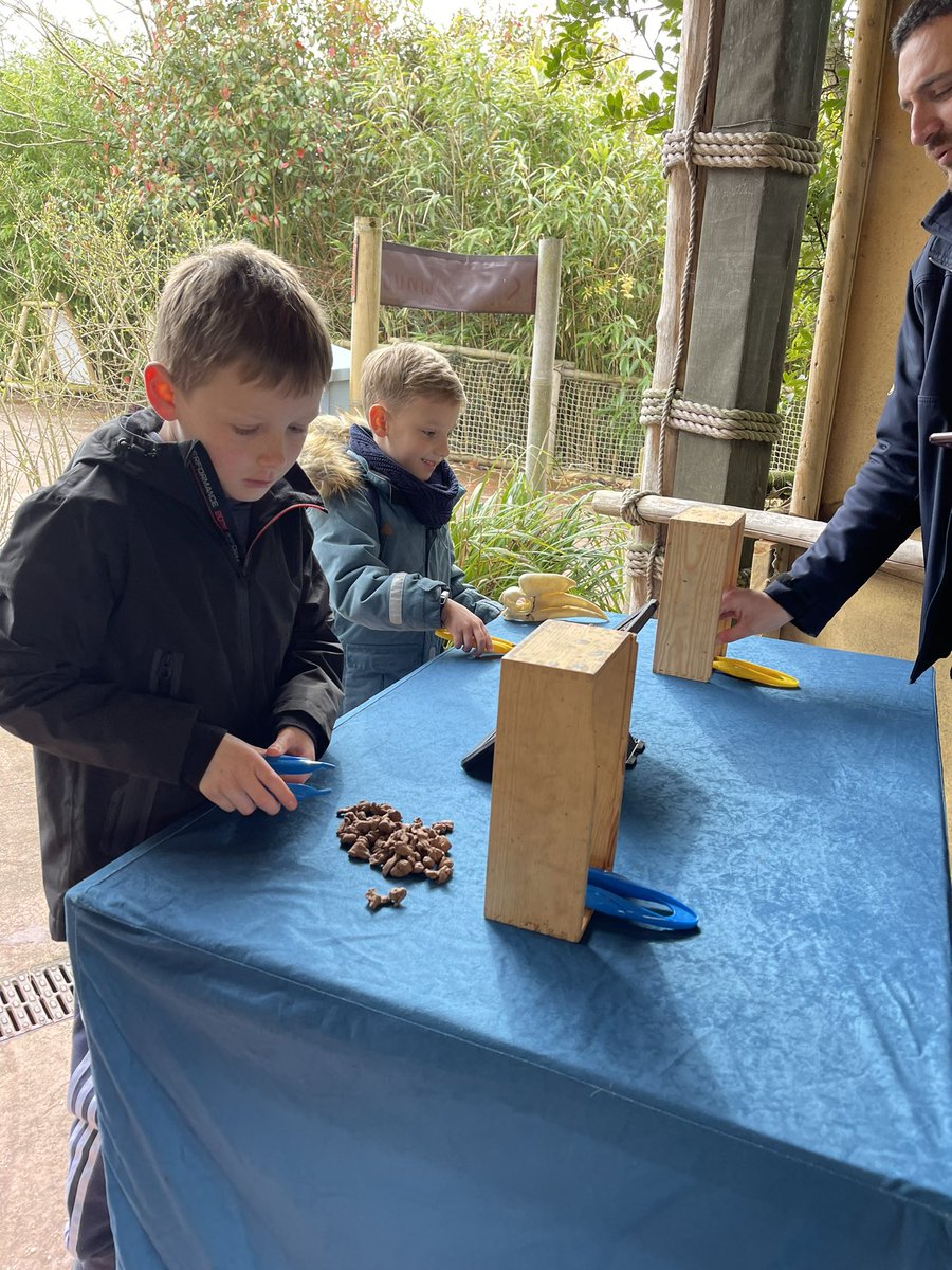 krolly99's tweet photo. The strikes maybe happing but @chesterzoo pulling out all the stops today as supply teachers. Great work guys ✊✊ https://t.co/liQfK98CpB