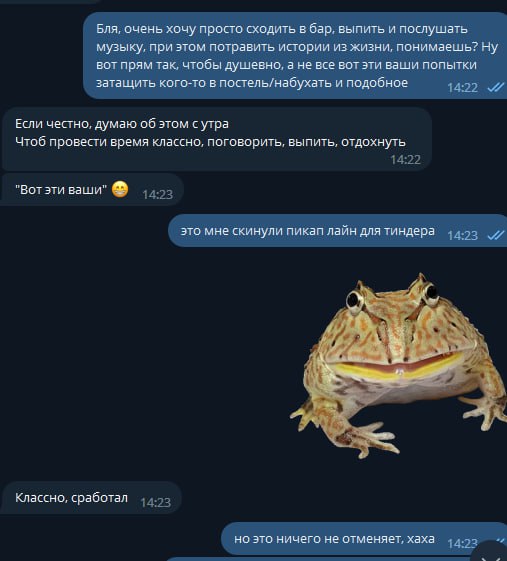 VoroneTZ's tweet photo. Мне скинули пикап лаин для тиндера
А по итогу я просто выгорел https://t.co/YPLNtWwv5x