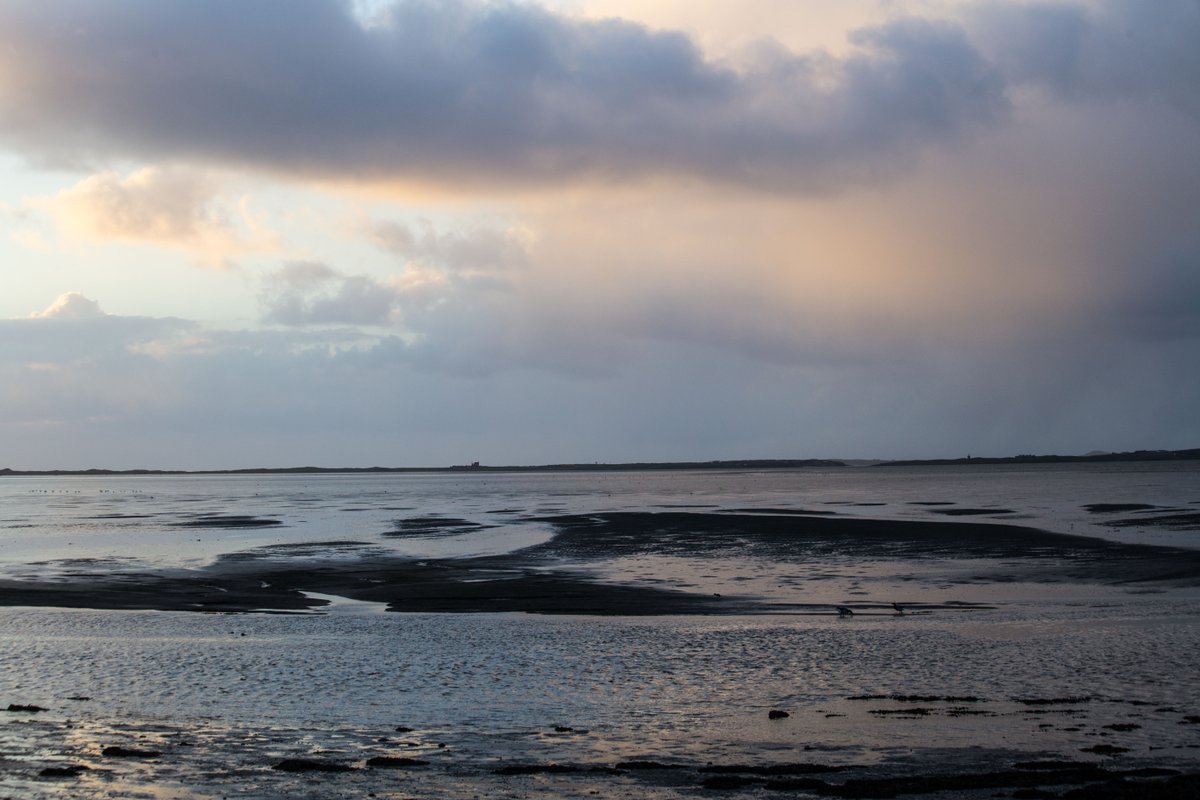 PicturesEden's tweet photo. A tiny Classiebawn against the sky and the sea

#Sligo #DiscoverIreland #ChooseSligo https://t.co/LA0XhK9AcU