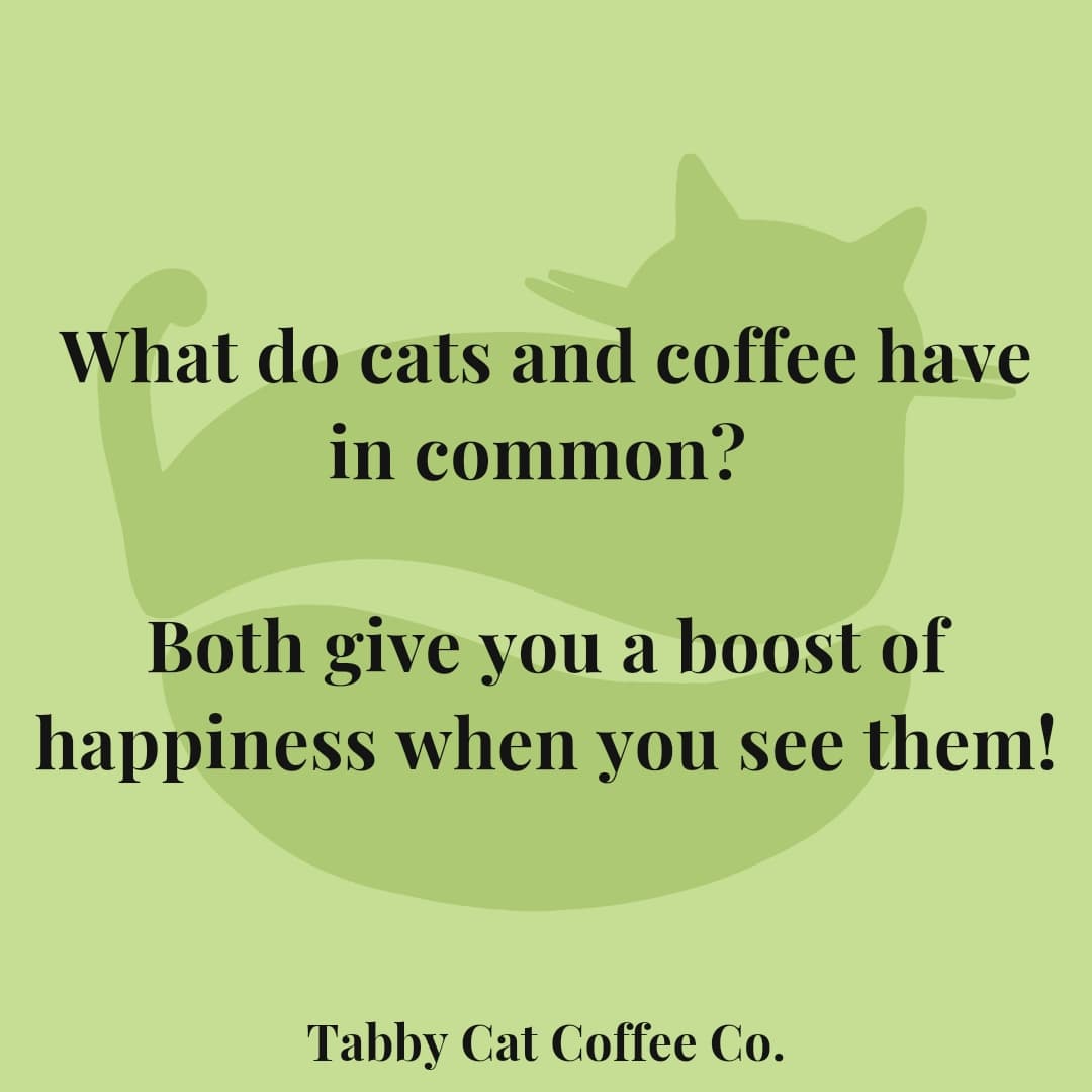 😻☕️ Indeed, they do!

#flavoredcoffee #organicoffee #tabbycatcoffeeco #coffeeandcats #ilovecats #catmom #coffeetime #homebrewcoffee #trending #coffee #ilovecoffee  #everycathealth #felinehealthadvocate #felinemedicine  #specialtycoffee